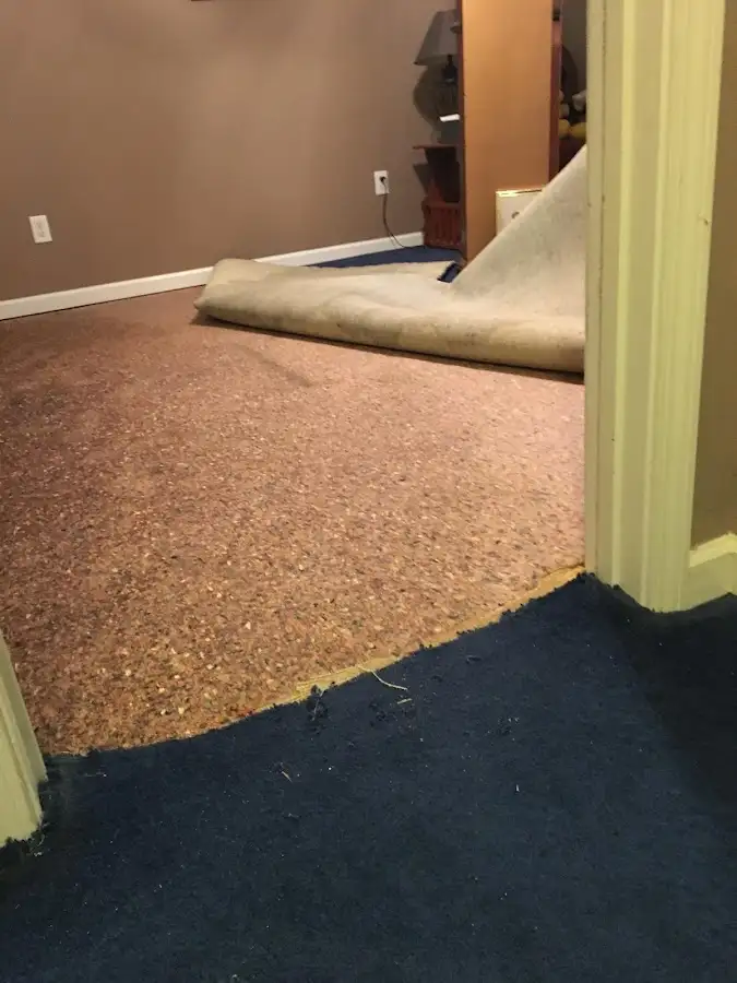 Carpet pad removal revealing water damage during Water Mitigation Services in Montville