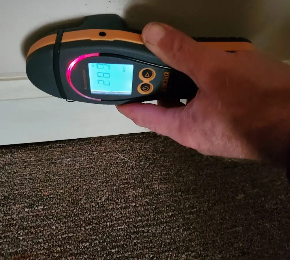 Moisture detection at baseboard during Sewage Cleanup & Sanitation in Montville